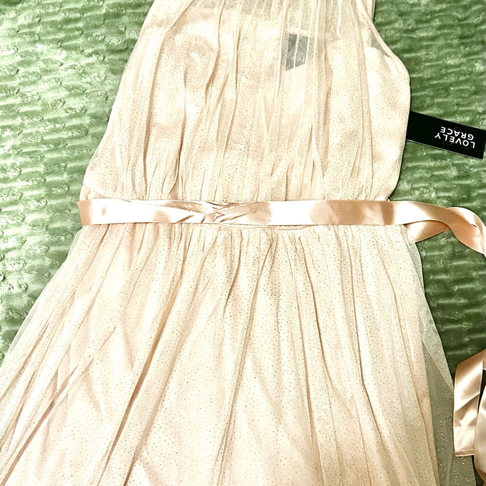 Elegant Light Pink sparkly maxi Dress
